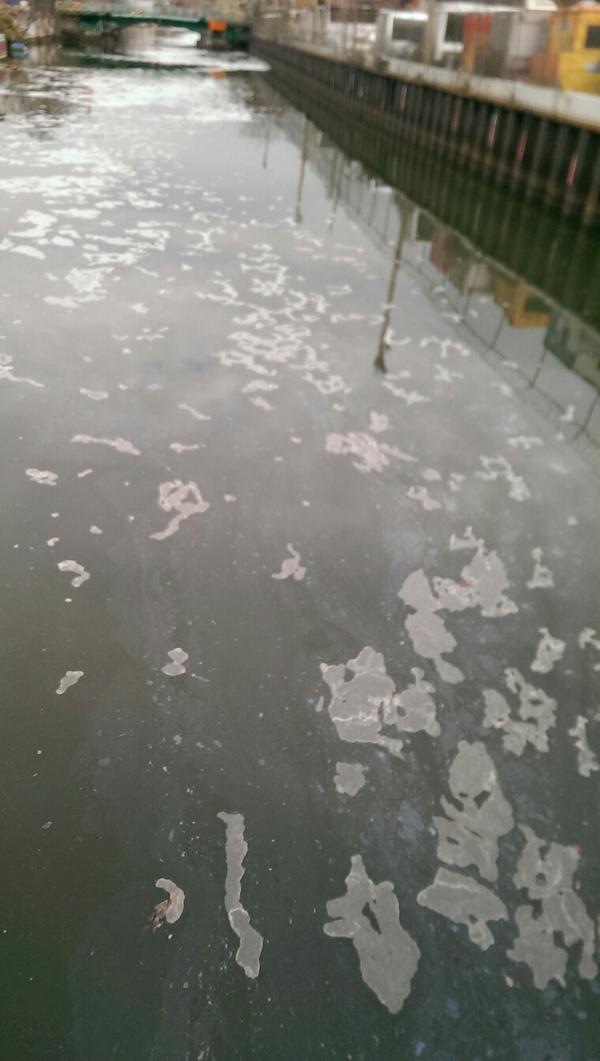 Weird flotsam on the Gowanus this morning. Seasons…